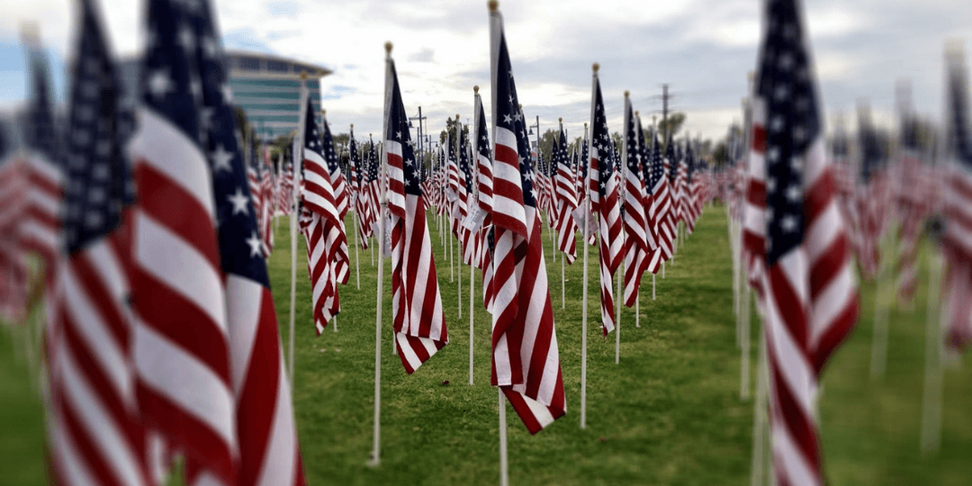Field filled with American flags waving on tall poles against a cloudy sky