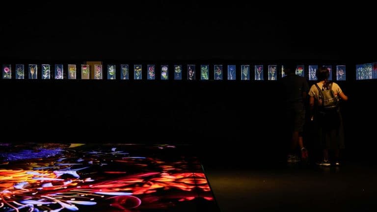 Breakthrough AI Art Exhibit Debuts in New York, Blurring Lines Between Technology and Creativity