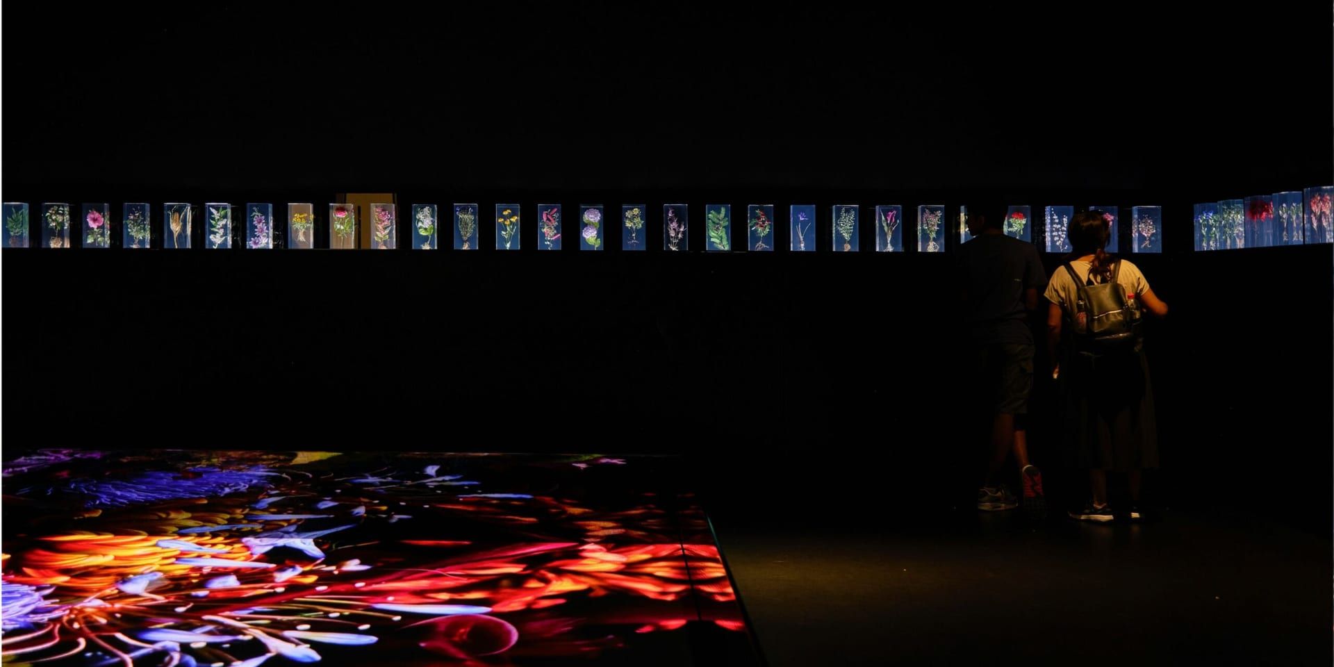 Breakthrough AI Art Exhibit Debuts in New York, Blurring Lines Between Technology and Creativity