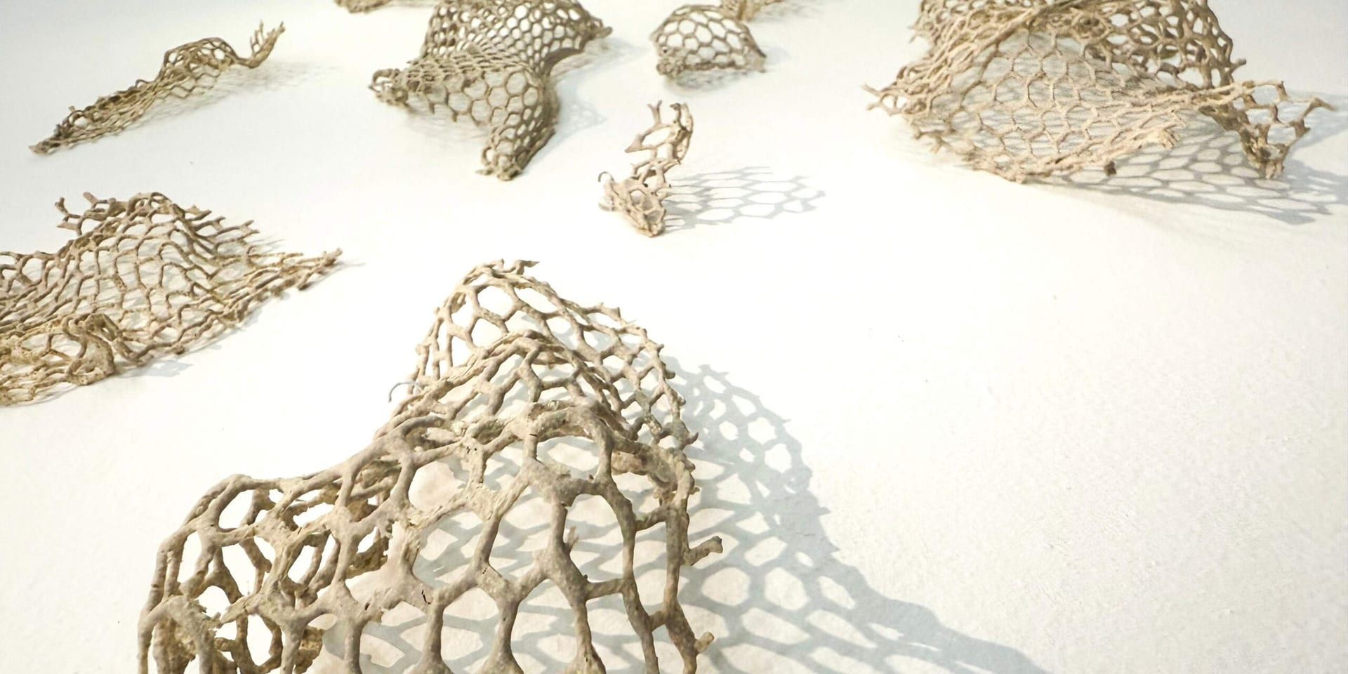 Dn image (1200 x 600 px) (1)