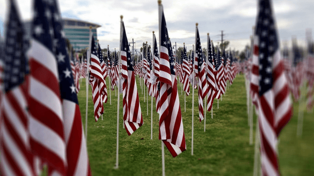 Field filled with American flags waving on tall poles against a cloudy sky