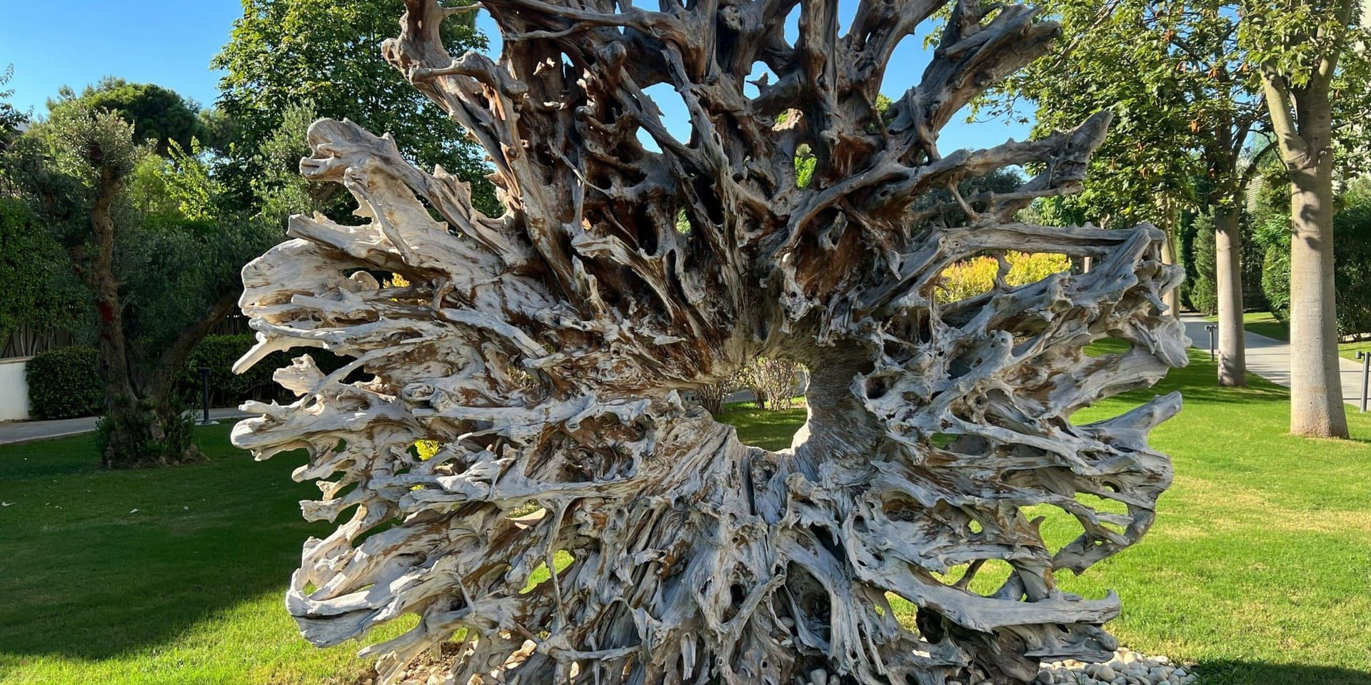 Innovative Artists Shape the Future of Sustainability in 2025