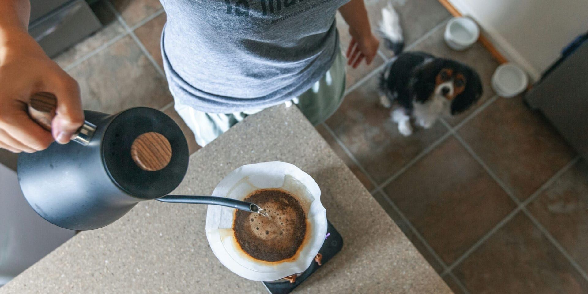 Mushroom Supplements Gain Momentum Among Biohackers