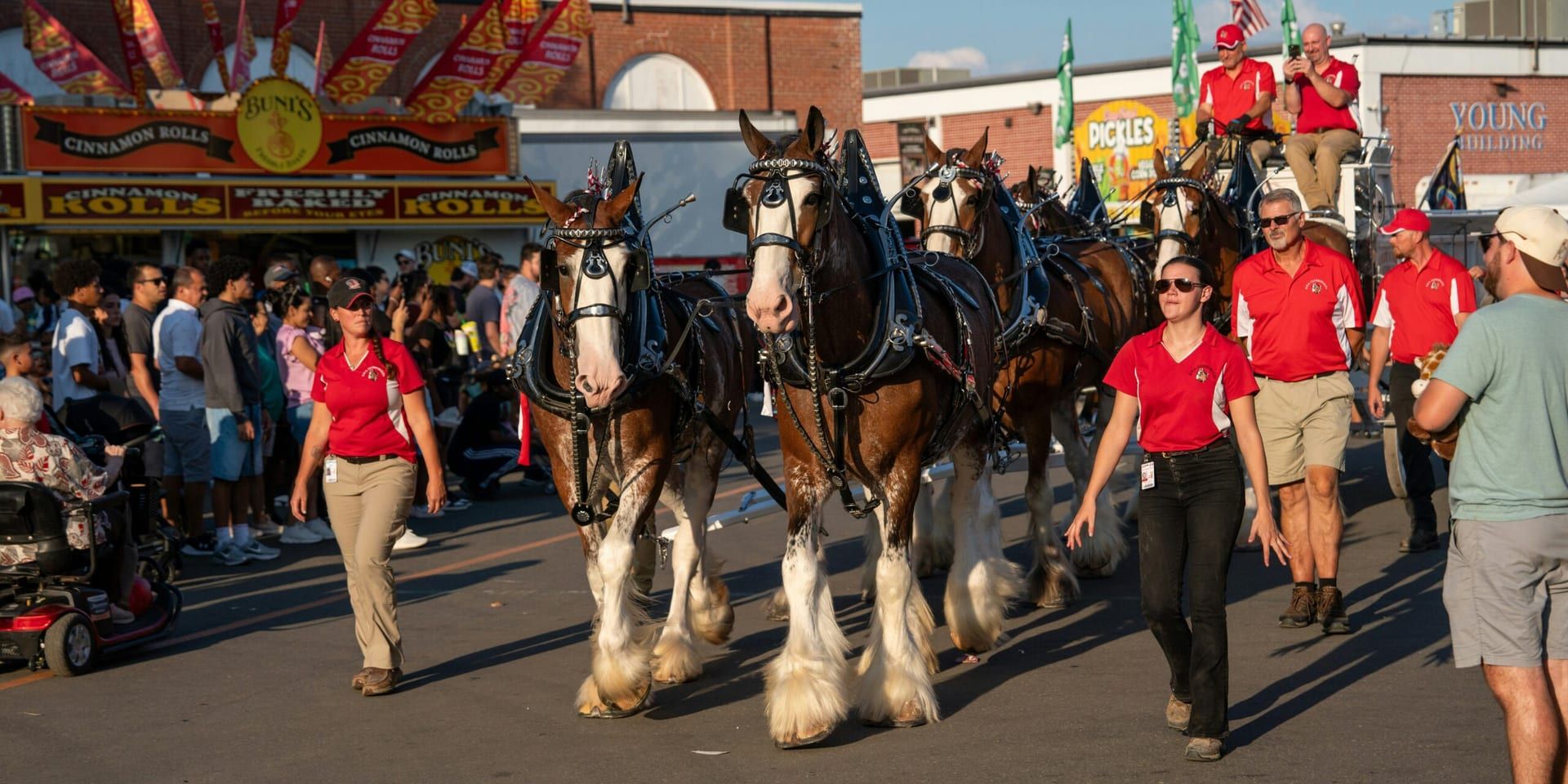 Wild Horses Festival Closes 2025 with a Celebration of Music and Community in San Diego