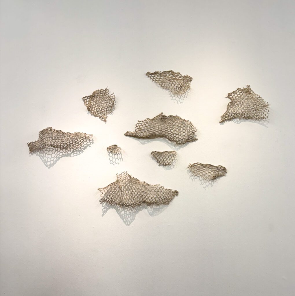 88ad8991 a370 4c99 9f5b f684f2194f4a 3